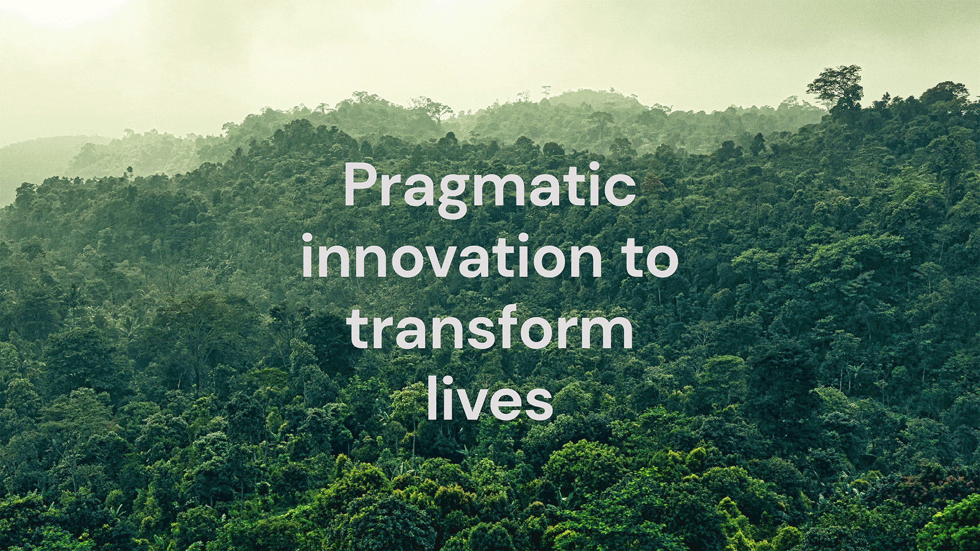 Dense green forest with misty hills in the background, overlaid with the text: Pragmatic innovation to transform lives.