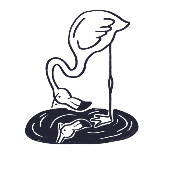 A flamingo stands on one leg with its head underwater, reflected as another flamingo in a dark pool—an image evocative of dual perspectives. The illustration is simple, black and white, with minimal details, reminiscent of the clarity and focus a brand strategy agency brings to complex ideas.