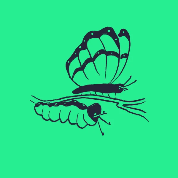 A simple black line drawing of a butterfly and a caterpillar on a branch, depicted against a bright green background.